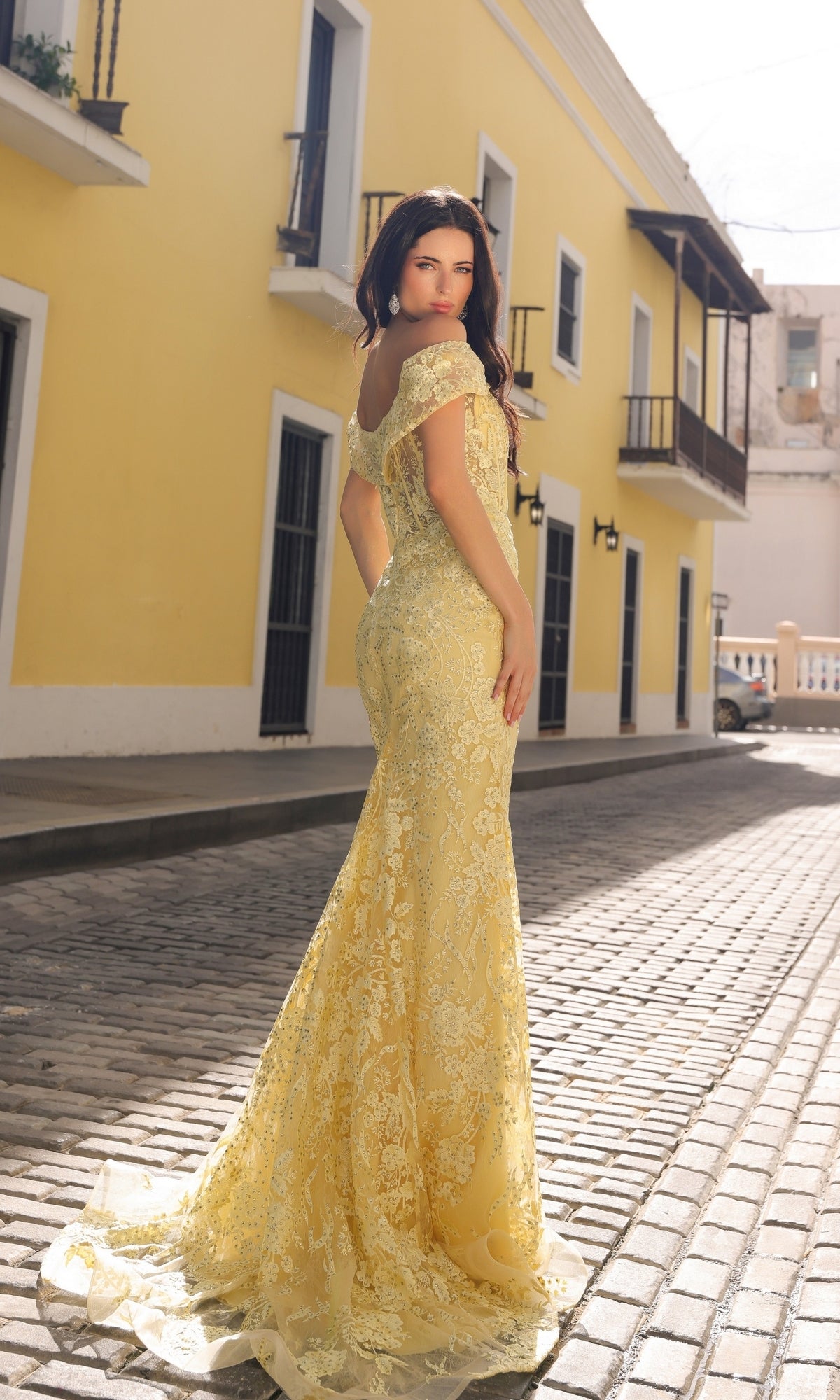 Nox Anabel Long Formal Dress c1455
