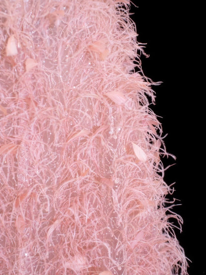 Modest Prom Dress Aesthetic Ball Gowns Strapless Tulle Pink With Feathers Style Impress Long Prom Dresses Party Formal Gown SA033