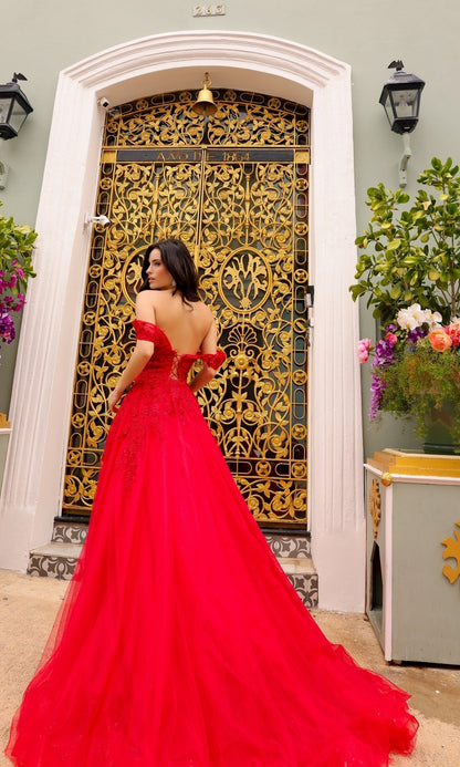 Formal Long Dress R1303 By Nox Anabel