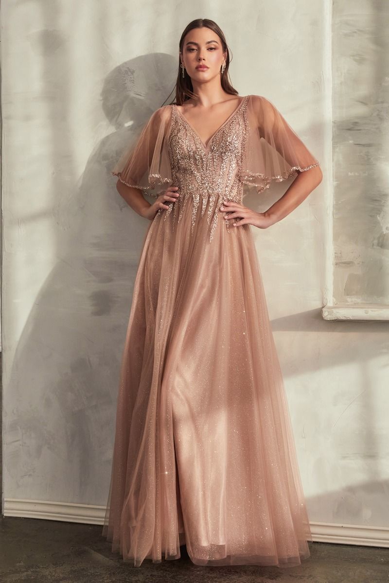 Formal Long Dress Cd0175 by Ladivine