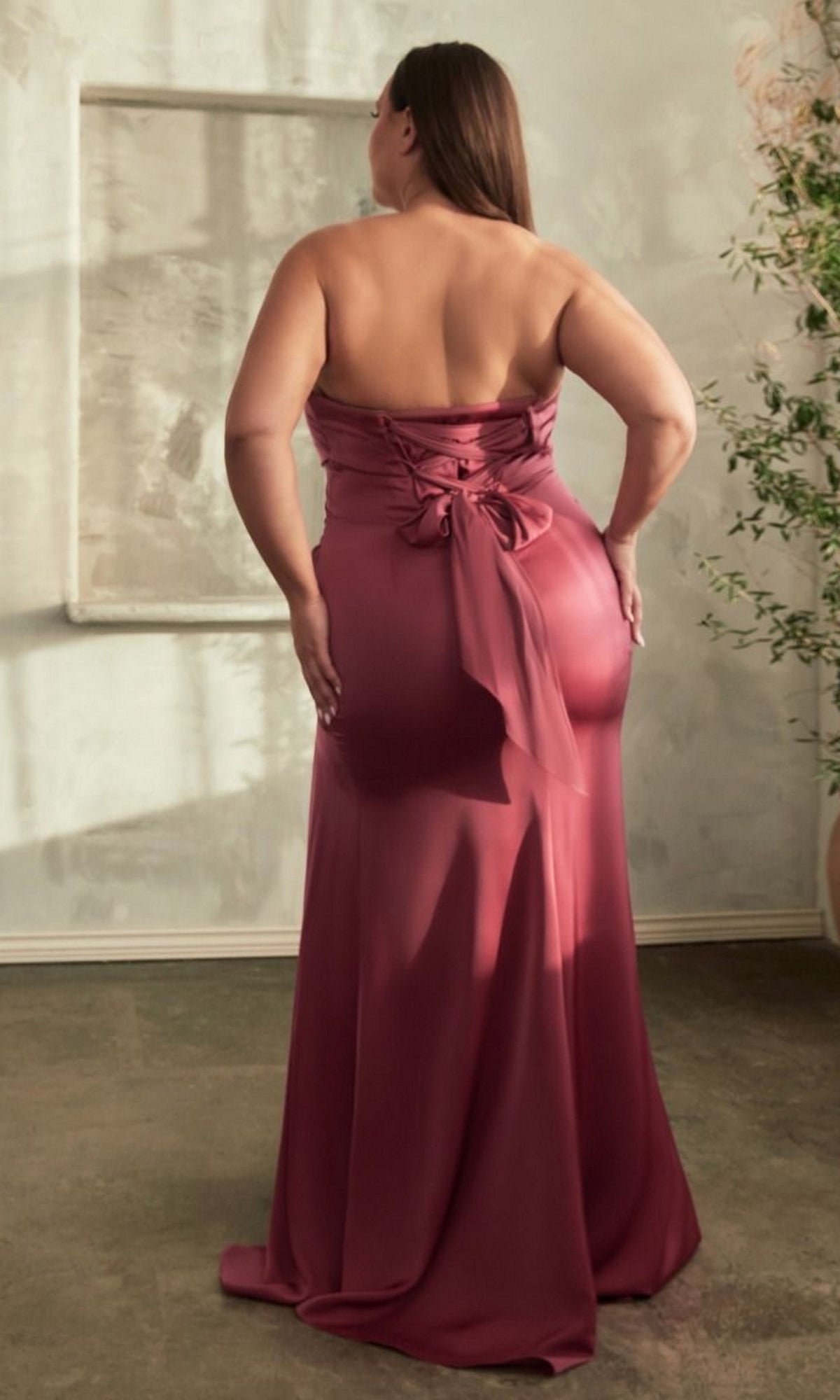 Long Plus-Size Formal Dress Cd326C by Ladivine